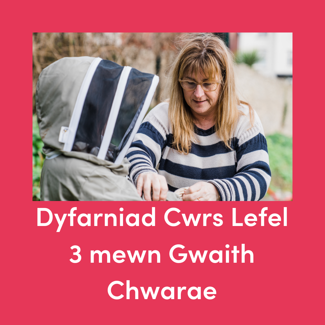 Dyfarniad Cwrs Lefel 3 mewn Gwaith Chwarae- 13/05-15/07